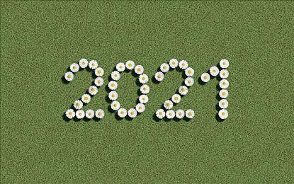 《职业棒球之魂》20周年和《实况力量棒球》30周年纪念网站上线 或有新作将发布